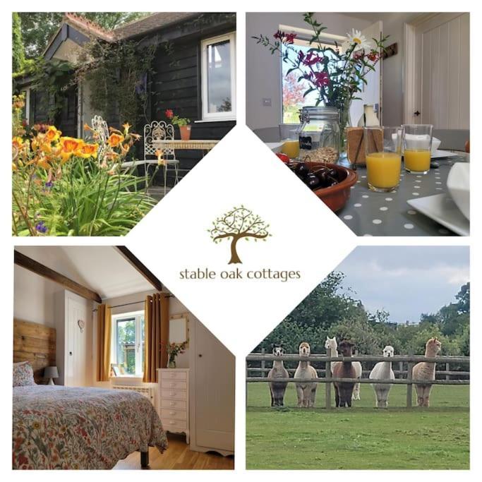Willow Cottage In Idyllic Location Harrietsham Esterno foto