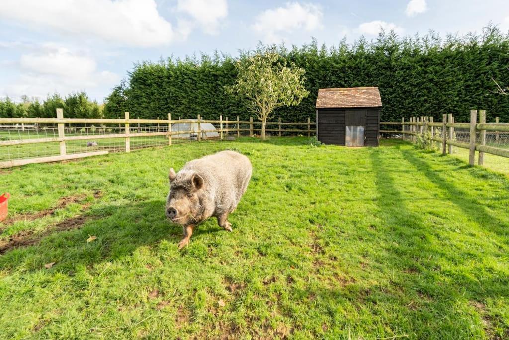 Willow Cottage In Idyllic Location Harrietsham Esterno foto